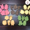HƯỚNG DẪN CHỌN BÁNH COOKIE LÀM QUÀ TẶNG CHO CÁC DỊP LỄ ĐẶC BIỆT