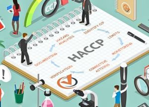 SỰ KHÁC BIỆT CỦA BÁNH KẸO CÓ CHỨNG NHẬN HACCP
